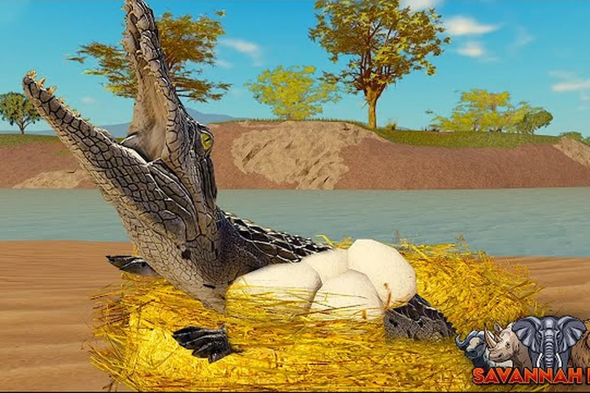 Huevos de Savannah Life: Grupo de 15, Servidor RP, Territorio Alfa