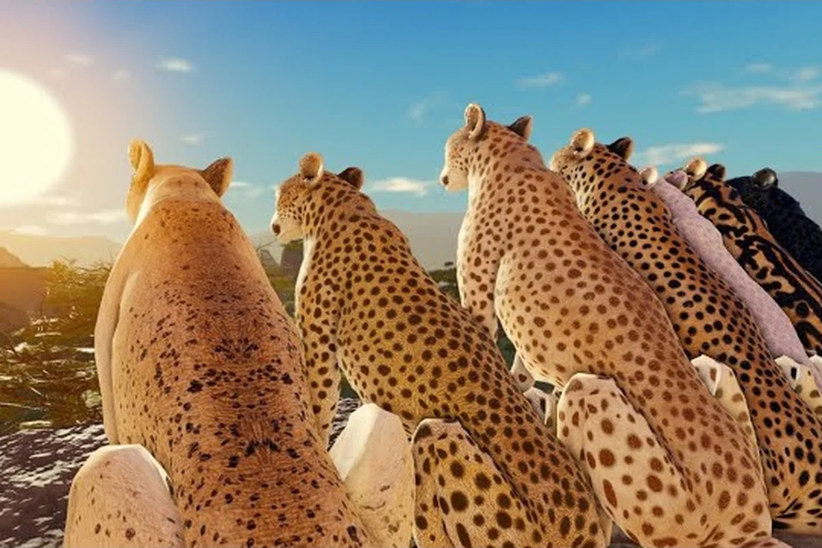 Skins de Guepardo do Savannah Life: Visuais Raros & Detalhamento de Preços