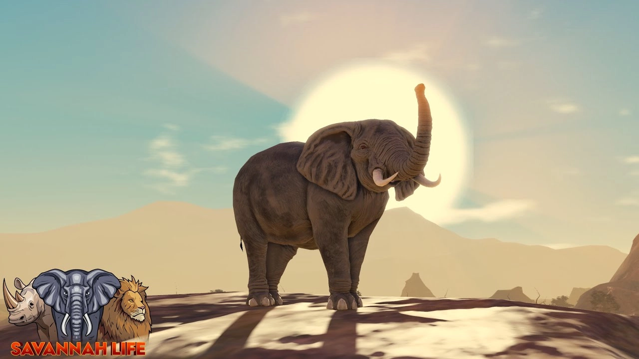 Gamepasses | Savannah Life Wiki